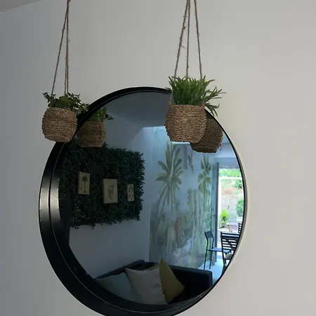 Apartment Jungle *